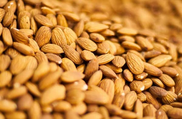 تصویر 4 از فروش مغز بادام درختی + قیمت خرید به صرفه